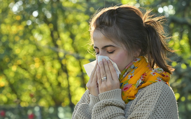 The Best Seasonal Allergy Medicines for Diabetes